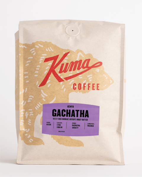 Kenya Gachatha