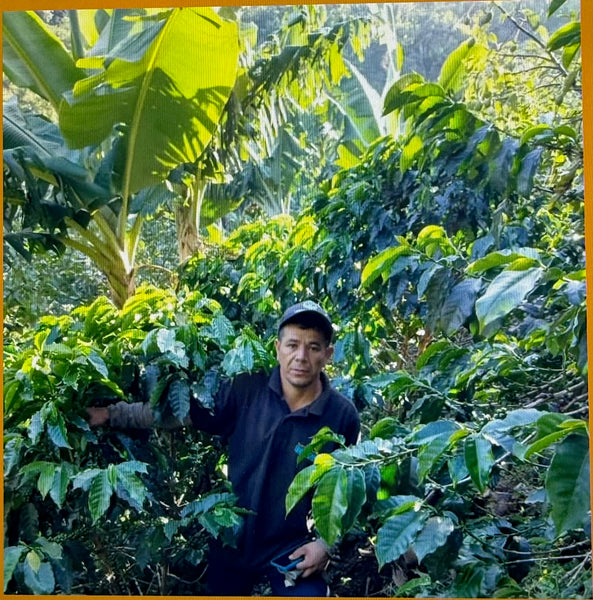 Colombia José Narváez