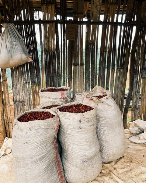 Natural Burundi Busambo #12