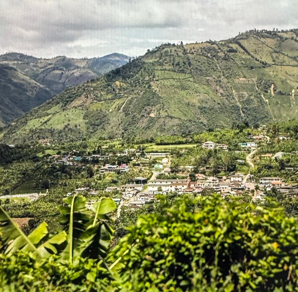 Colombia Villa Catalina