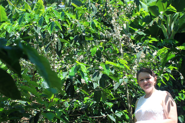 Honduras Edi Yaneth Leiva